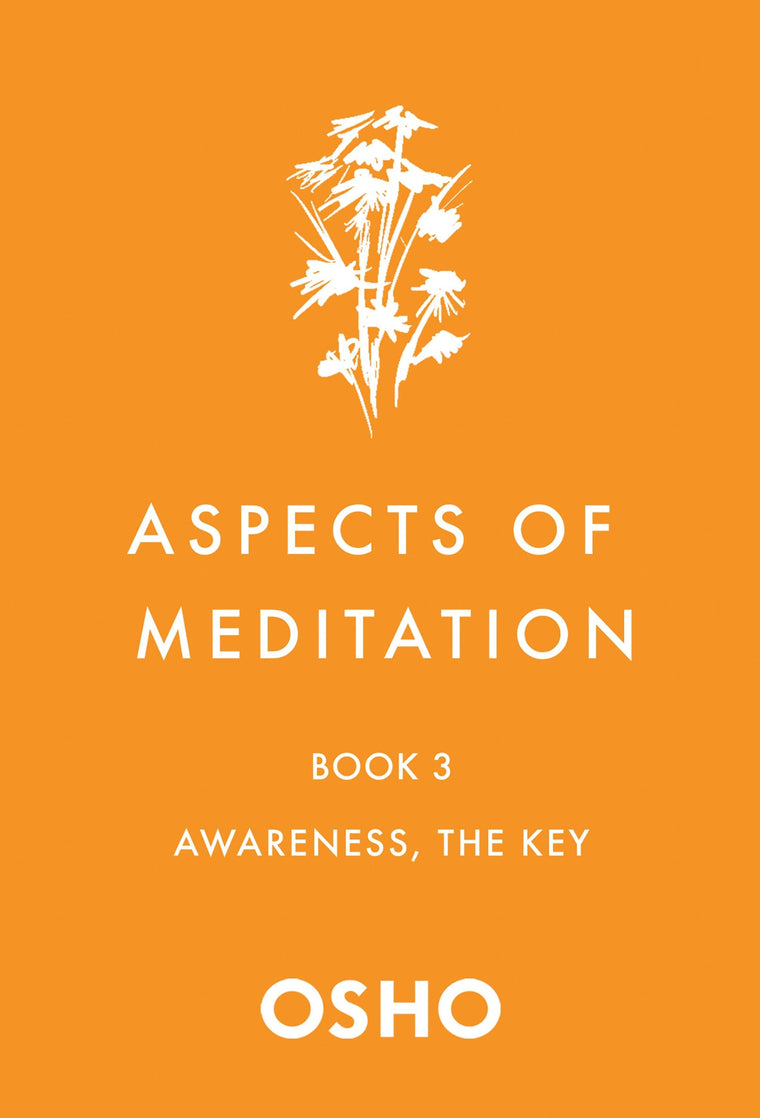 Aspects of Meditation Book 3: Awareness, the Key