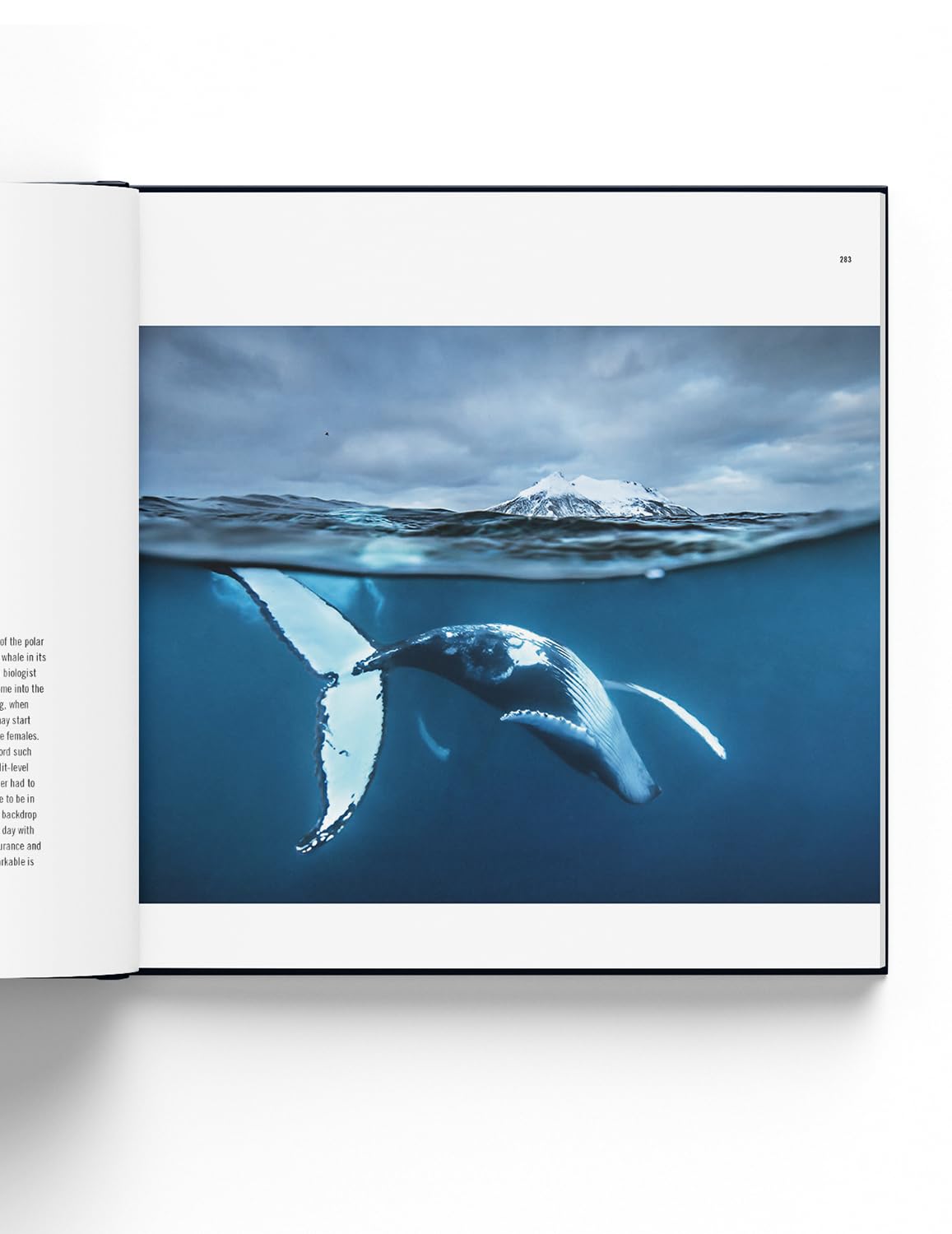 Natural History Museum 60 Years of Wildlife Photographer of the Year.