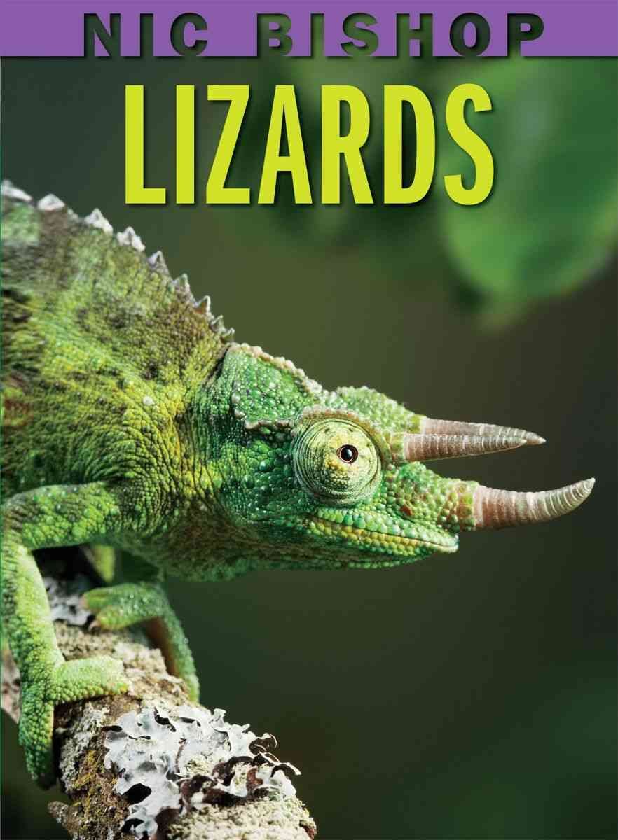 Nic Bishop: Lizards