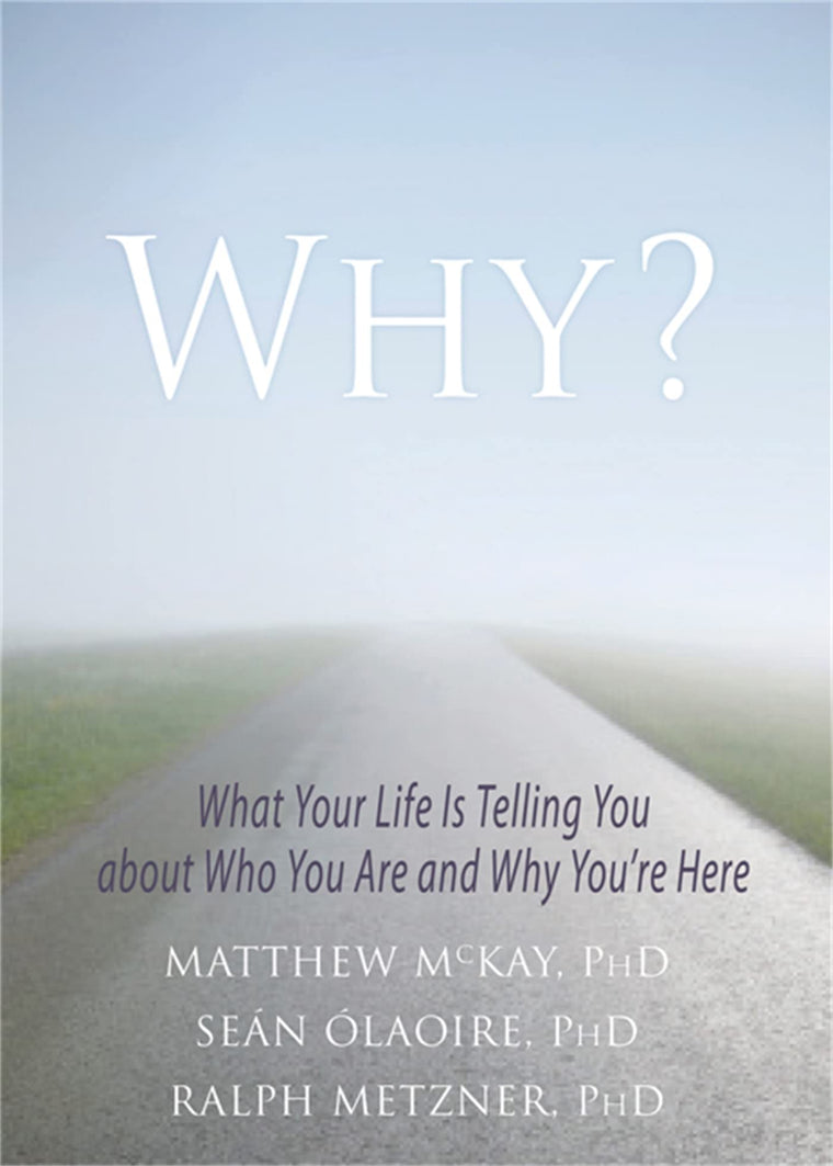 Why?: What Your Life Is Telling You about Who You Are and Why You're Here
