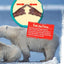 Balanced and Unbalanced Forces (Science Readers: Content and Literacy)