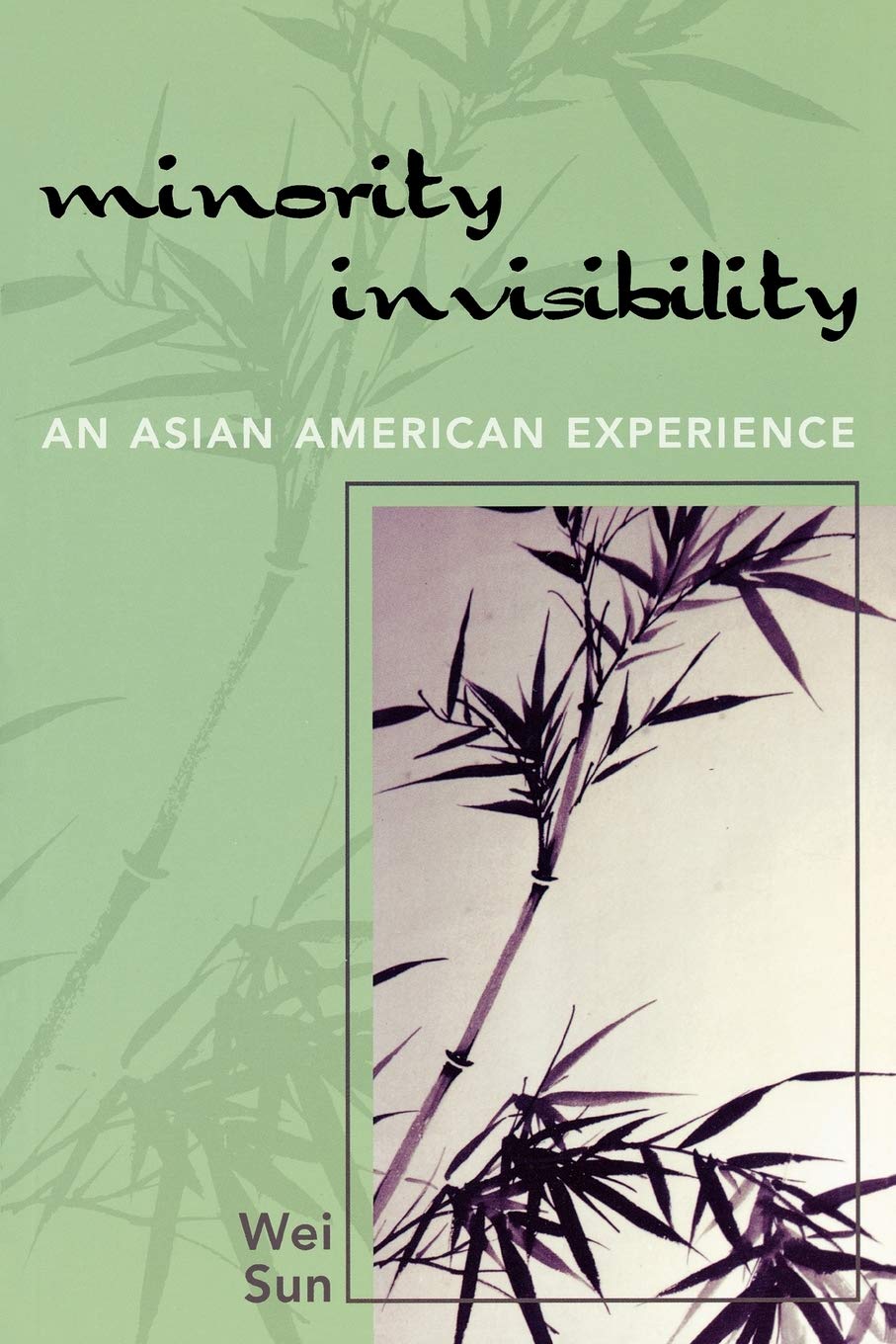 Minority Invisibility: An Asian American Experience