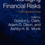Managing Financial Risks: From Global to Local