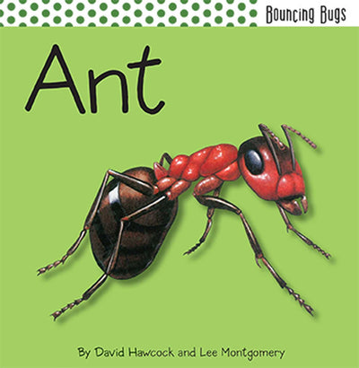 Ant (Bouncing Bugs)