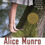 Dear Life: Stories (Vintage International)