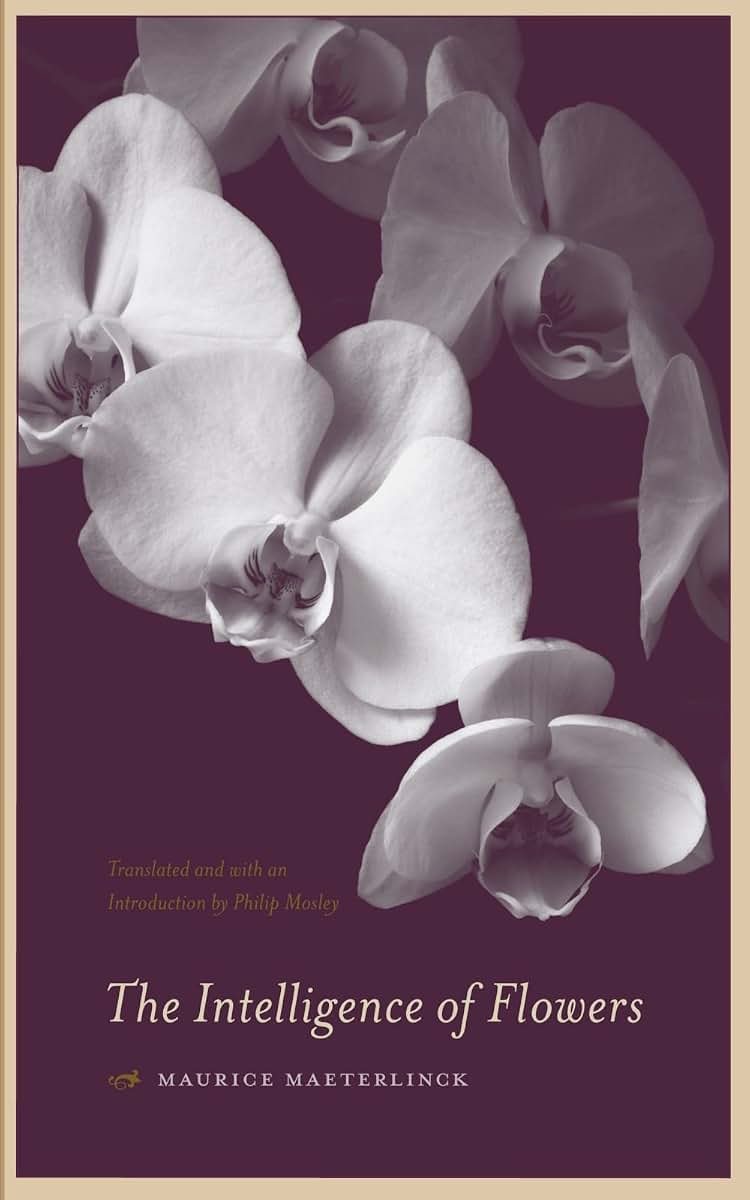 The Intelligence of Flowers