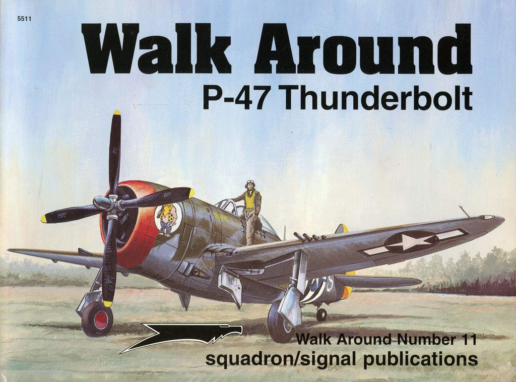 P-47 Thunderbolt - Walk Around No. 11 by Drendel, Lou