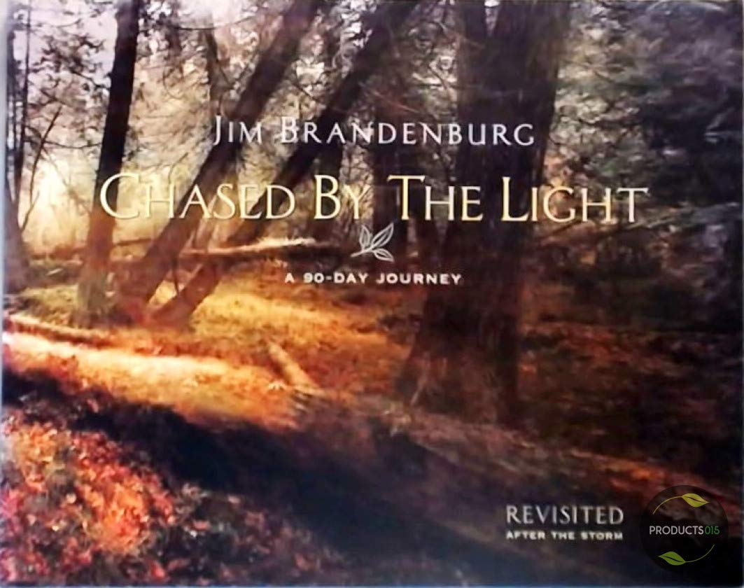 Chased by the Light: A 90-Day Journey