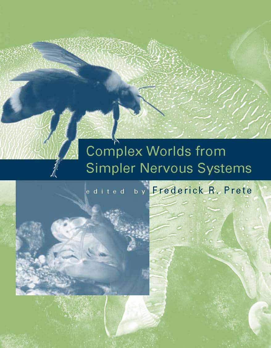 Complex Worlds from Simpler Nervous Systems (A Bradford Book