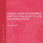 China's Large Enterprises and the Challenge of Late Industrialisation (Routledge Studies on the Chinese Economy)