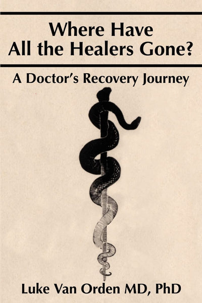 Where Have All the Healers Gone?: A Doctor's Recovery Journey