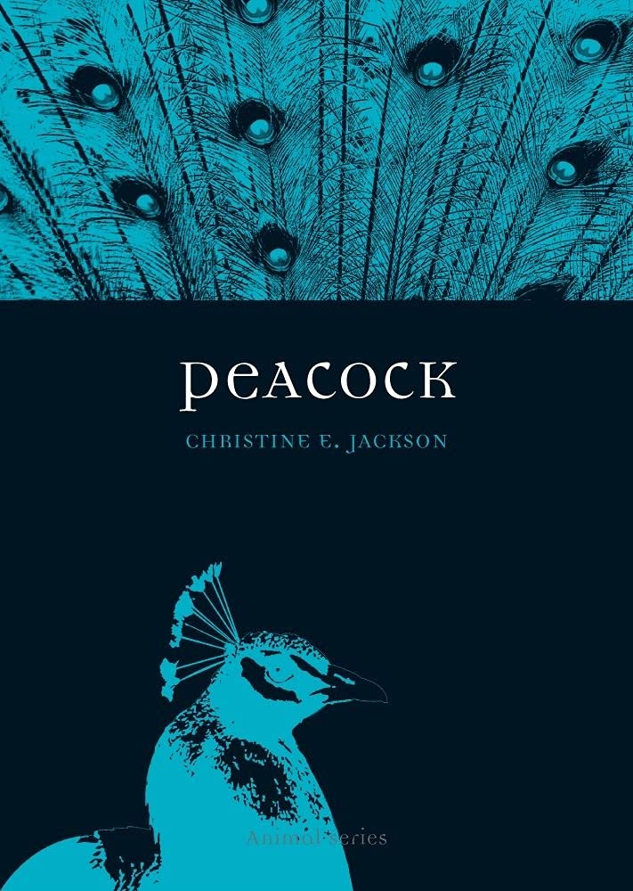 Peacock (Animal)