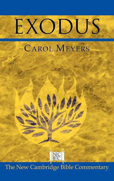Exodus (New Cambridge Bible Commentary)