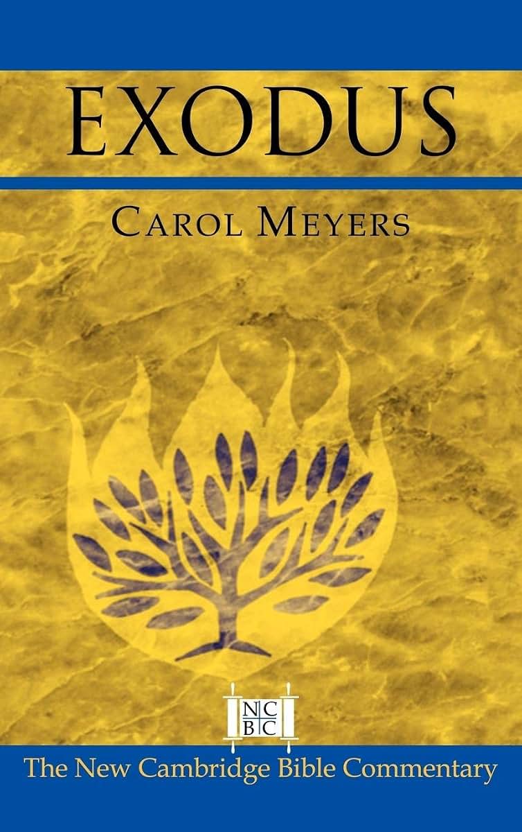 Exodus (New Cambridge Bible Commentary)