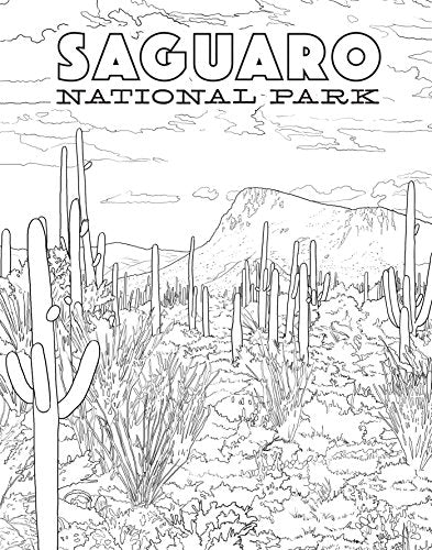 The National Parks Poster Coloring Book: 20 Removable Posters to Color and Frame