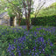 Private Edens: Beautiful Country Gardens by Staub, Jack
