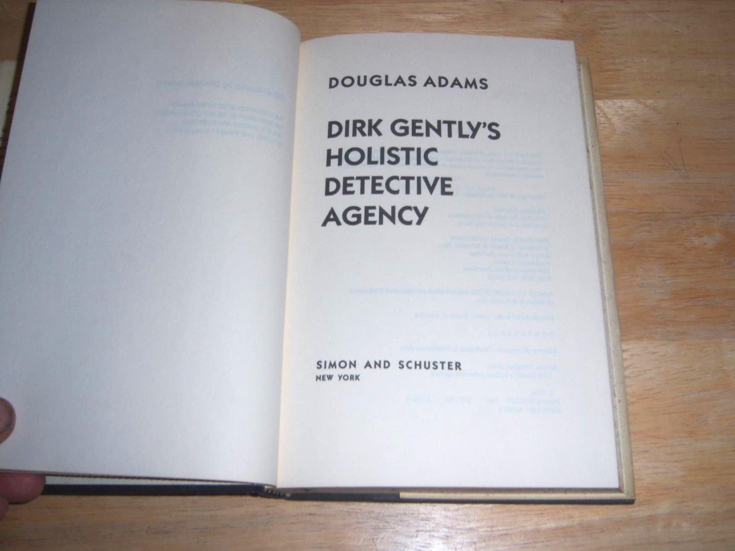 Dirk Gently's Holistic Detective Agency
