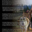 The Invaders: How Humans and Their Dogs Drove Neanderthals t