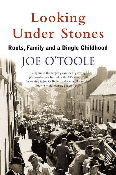 Looking Under Stones: Roots, Family and a Dingle Childhood