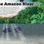 3-D Explorer: Rain Forest