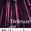 Deleuze and Philosophy (Warwick Studies in European Philosophy)