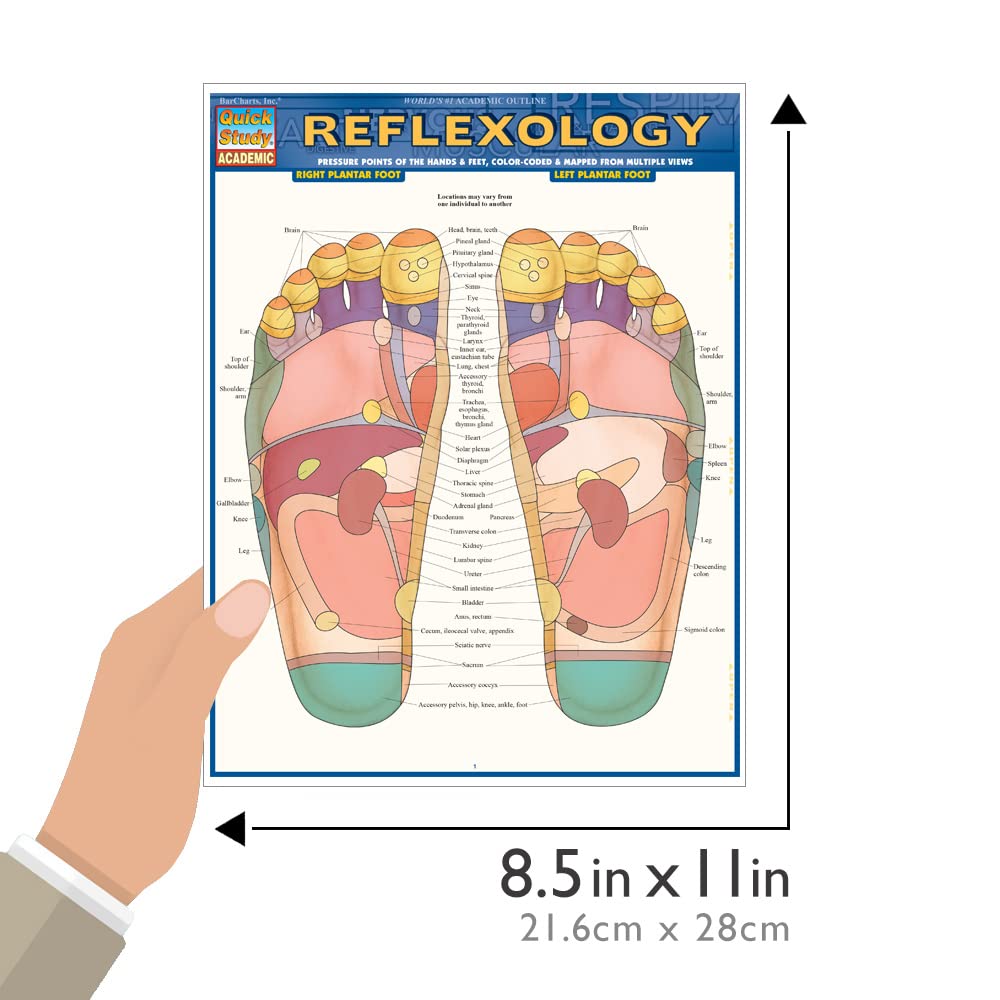 Reflexology QuickStudy Laminated Reference Guide (QuickStudy Academic)