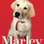 Marley: A Dog Like No Other