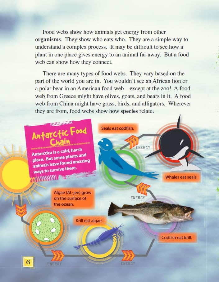 Food Webs (Science Readers: Content and Literacy)