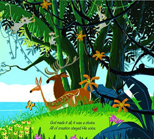 God's Great Plan Storybook Bible