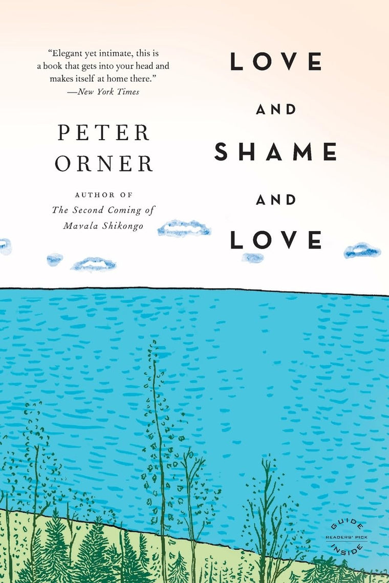 Love and Shame and Love: A Novel