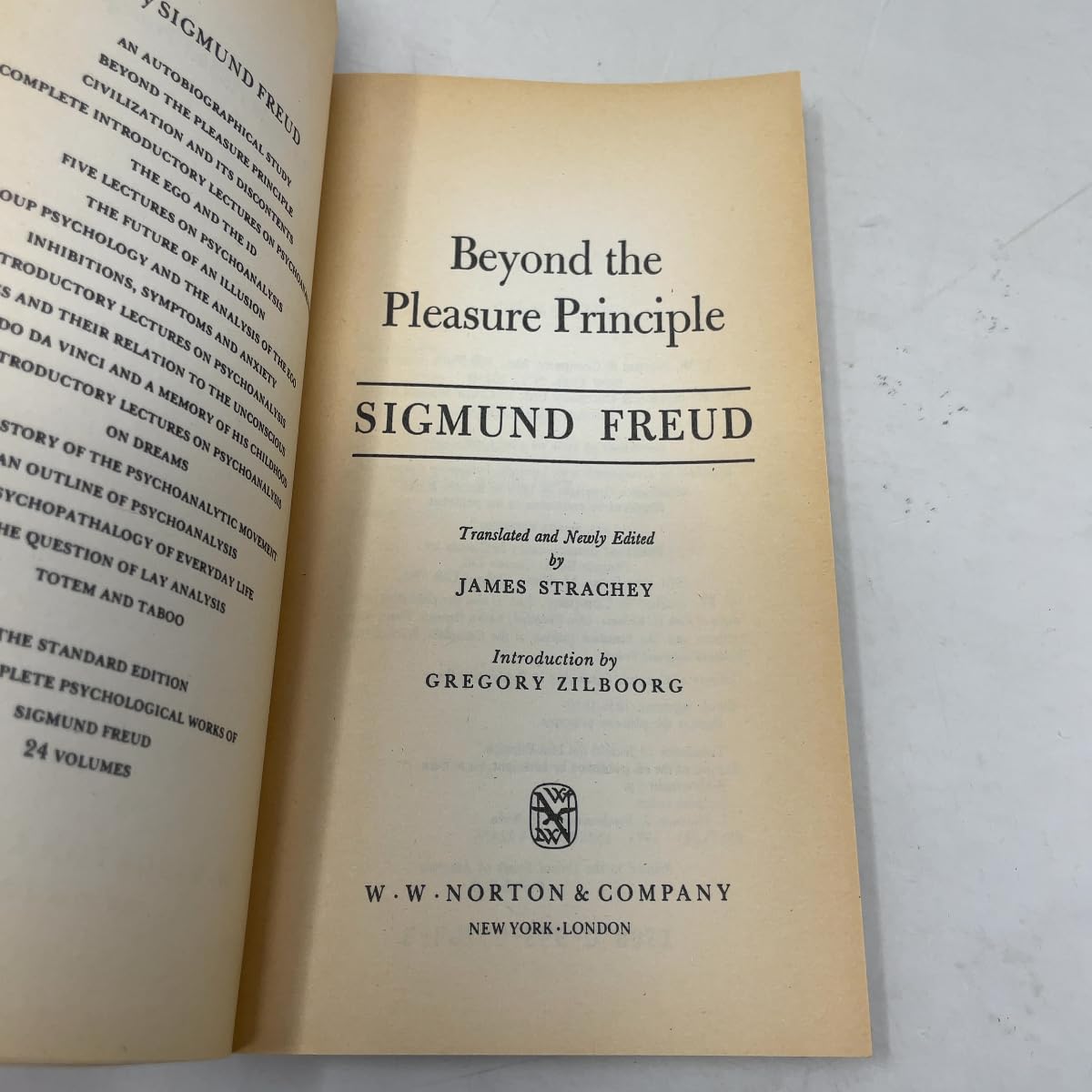 Beyond the Pleasure Principle (Norton Library)