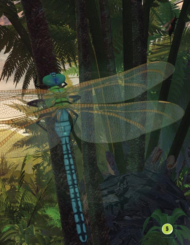 The Story of Fossil Fuels (Science Readers: Content and Literacy)