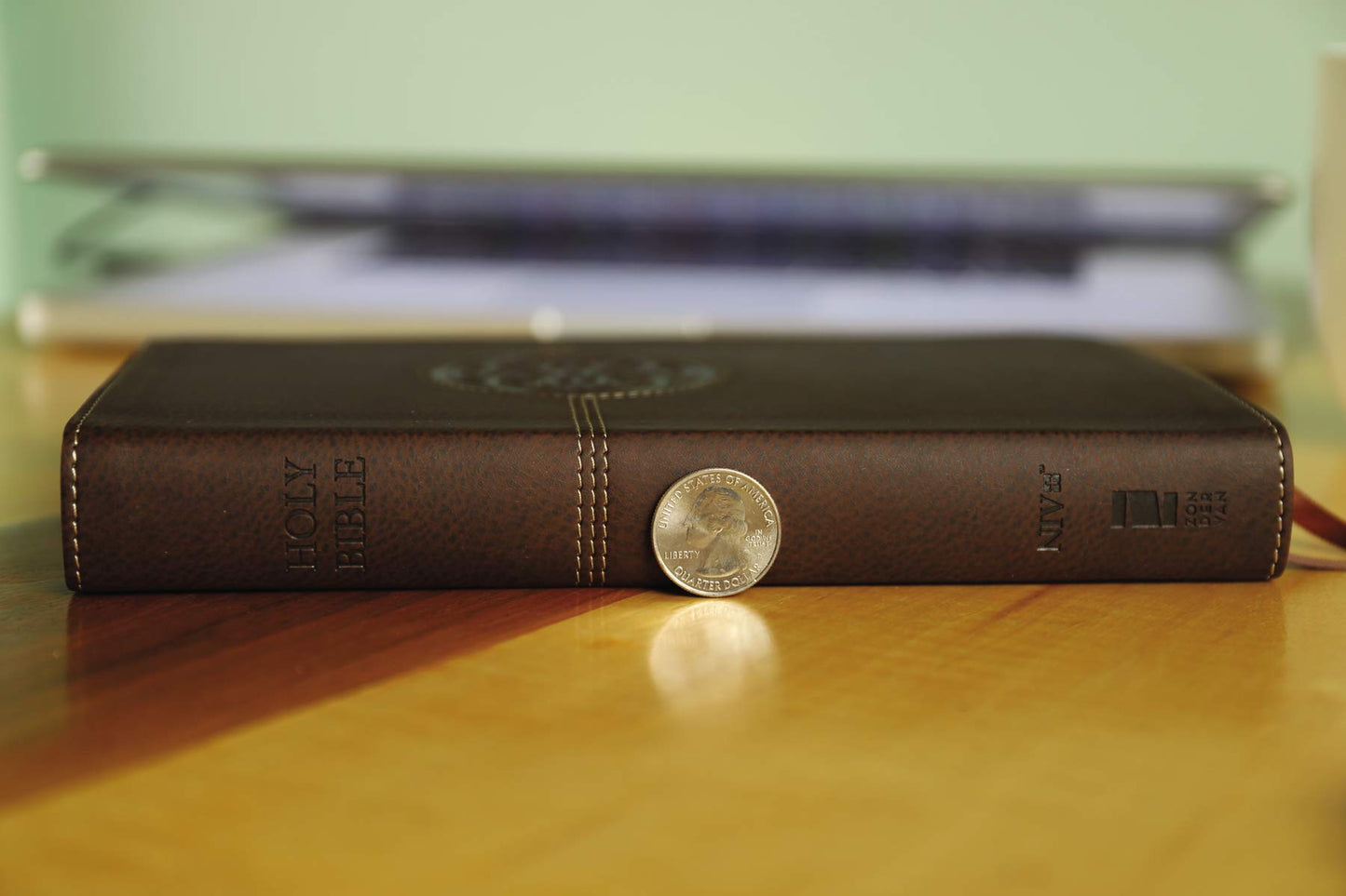NIV, Thinline Reference Bible (Deep Study at a Portable Size