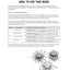 Shell Education 180 Days of Language for Fifth Grade