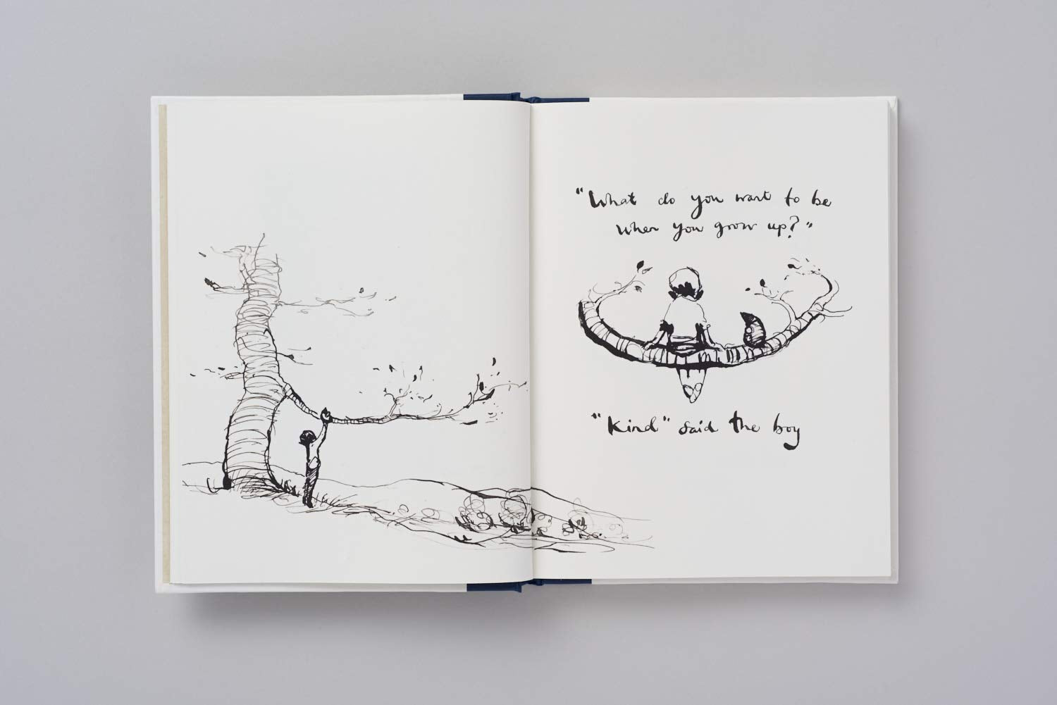 The Boy, The Mole, The Fox and The Horse /anglais