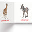 My First Book of Baby Animals: First Board Book