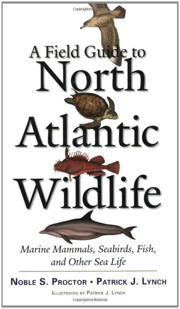 A Field Guide to North Atlantic Wildlife: Marine Mammals, Seabirds, Fish, and Other Sea Life