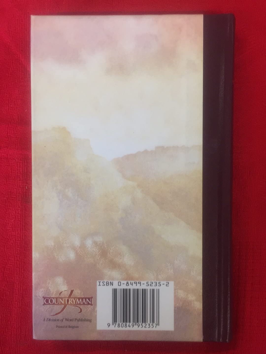 Gods Inspirational Promise Book