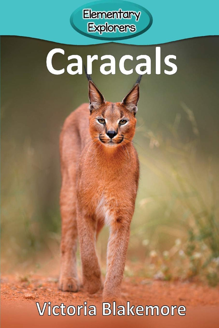 Caracals (Elementary Explorers)