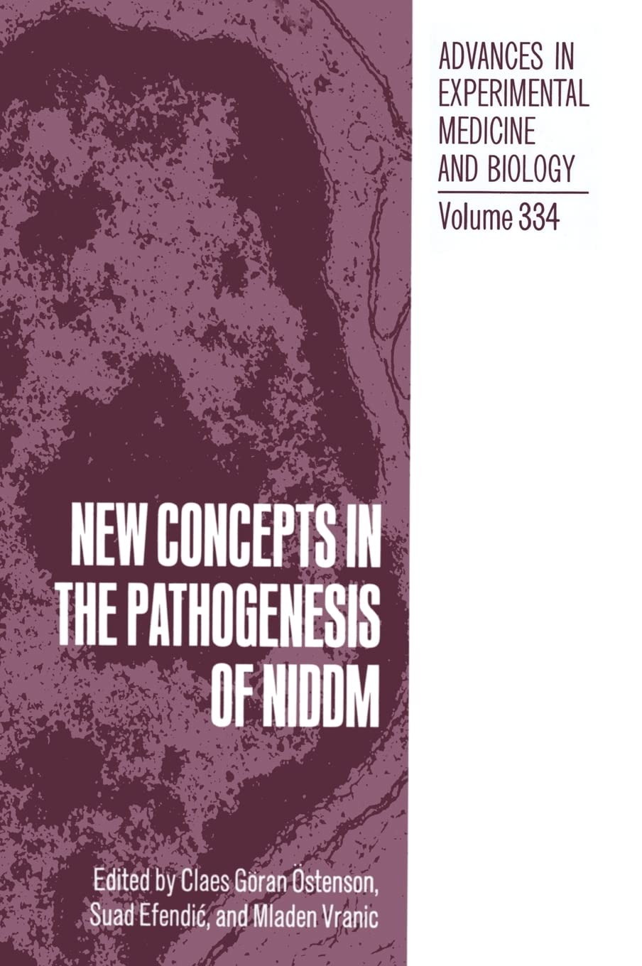 New Concepts in the Pathogenesis of NIDDM, Vol. 334 (Advances in Experimental Medicine and Biology) (NATO Asi Series)