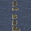 Movement and Institution (European Perspectives S)