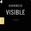 Darkness Visible: A Novel (FSG Classics)