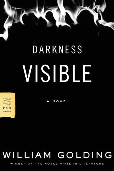 Darkness Visible: A Novel (FSG Classics)