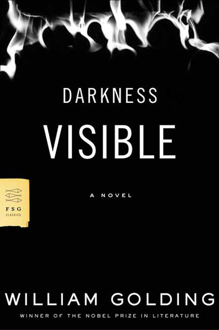Darkness Visible: A Novel (FSG Classics)