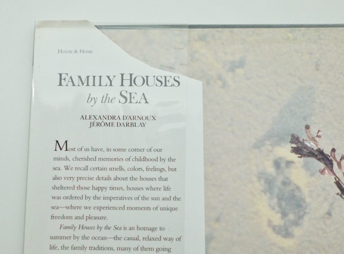 Family Houses by the Sea by Alexandra D'Arnoux