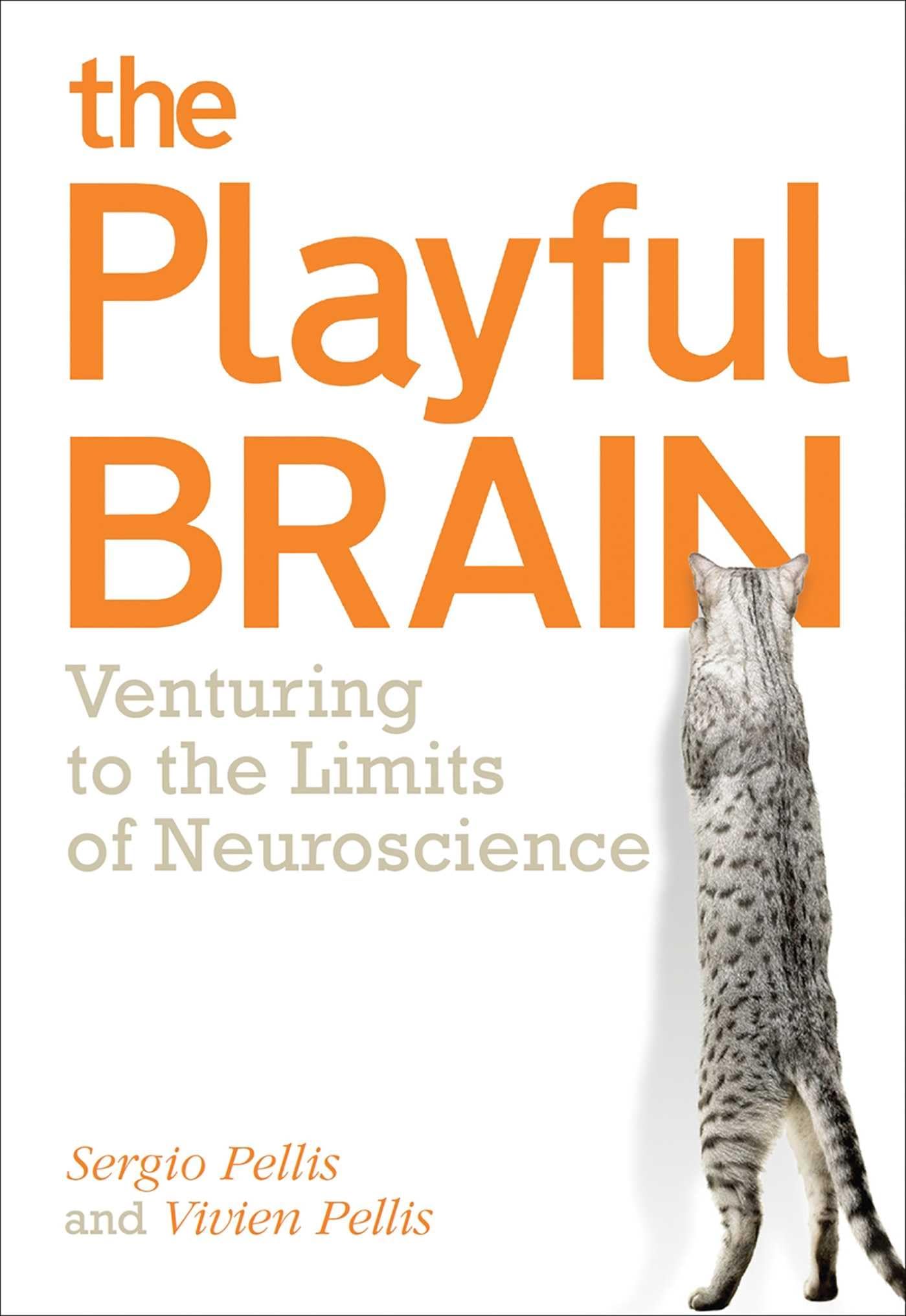 The Playful Brain: Venturing to the Limits of Neuroscience