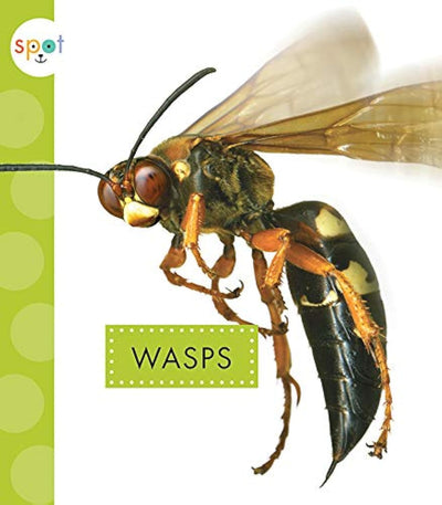 Wasps (Spot Creepy Crawlies)
