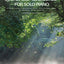 Sacred Classics for Solo Piano (Piano Solo)
