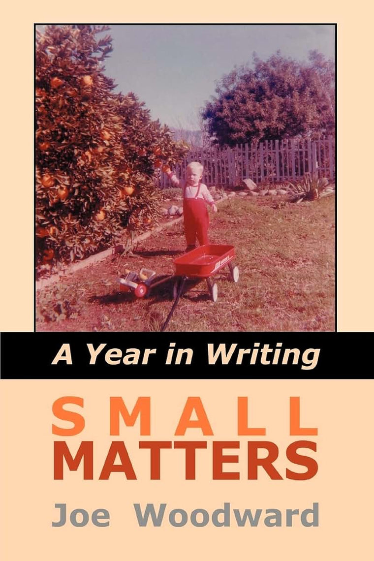 Small Matters: A Year in Writing