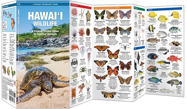 Hawai'i Wildlife, 2nd Ed: A Folding Pocket Guide to Familiar Animals (Nature Observation North America)